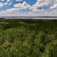 9 acres of Residential and Recreational Waterfront Land For Sale in Pamlico County NC images 4