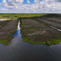 9 acres of Residential and Recreational Waterfront Land For Sale in Pamlico County NC images 5
