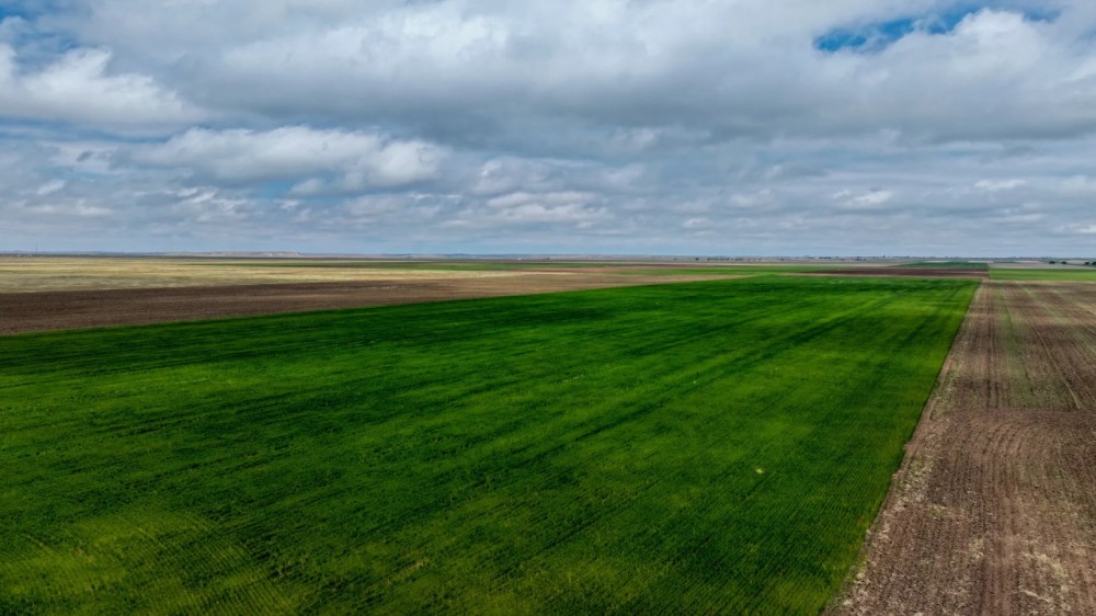 152 Acres Hereford CO featured image