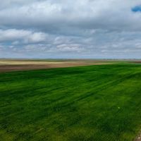 152 Acres Hereford CO