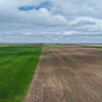 152 Acres Hereford CO images 2