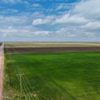 152 Acres Hereford CO images 4