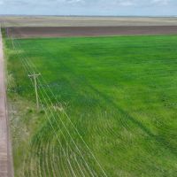 152 Acres Hereford CO images 5