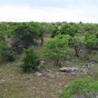 Great homesite tract in Comanche County with paved FM frontage images 2