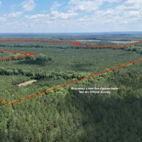 Phenomenal 490 - Acre Timberland Recreational Tract In Russell County AL