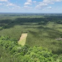 Phenomenal 490 - Acre Timberland Recreational Tract In Russell County AL images 2