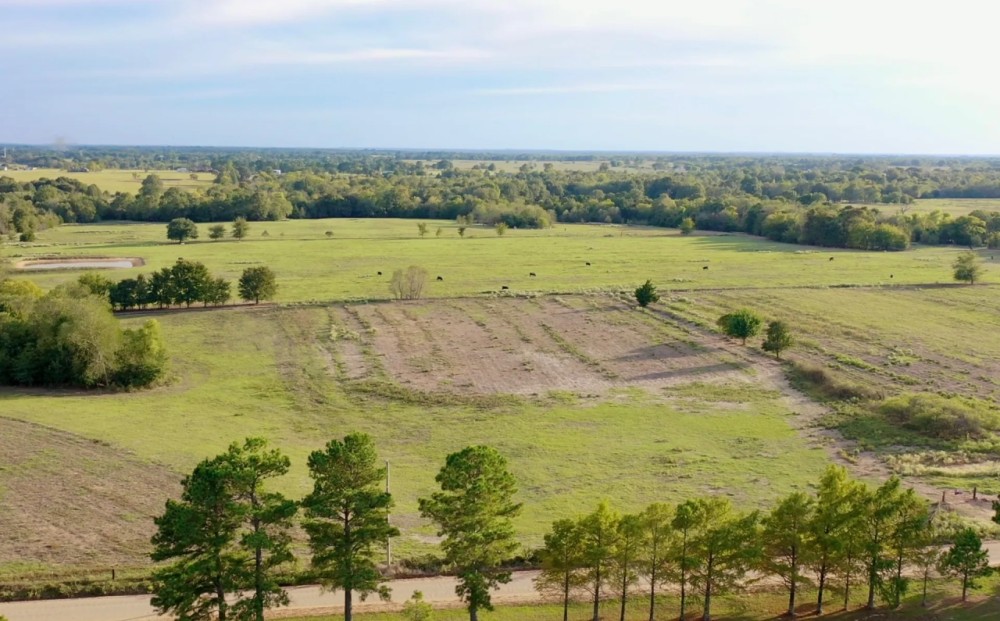 Farmland with Wildlife in SE Oklahoma Atoka featured image