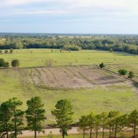 Farmland with Wildlife in SE Oklahoma Atoka