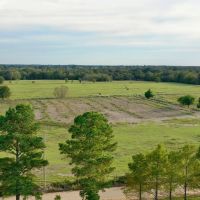 Farmland with Wildlife in SE Oklahoma Atoka images 2