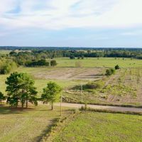 Farmland with Wildlife in SE Oklahoma Atoka images 3