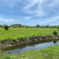 Wall Ranch - 114 Acres Burnet County