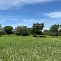 Wall Ranch - 114 Acres Burnet County images 2