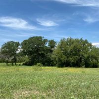 Wall Ranch - 114 Acres Burnet County images 3