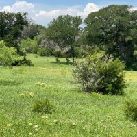 Wall Ranch - 114 Acres Burnet County images 4