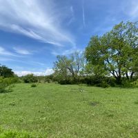 Wall Ranch - 114 Acres Burnet County images 5