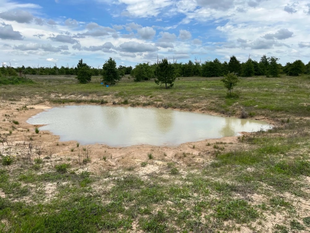 66.65 Acres in SE Caldwell County TX featured image