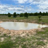 66.65 Acres in SE Caldwell County TX