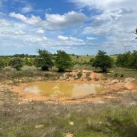 66.65 Acres in SE Caldwell County TX images 2