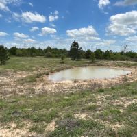 66.65 Acres in SE Caldwell County TX images 3