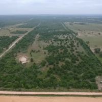 66.65 Acres in SE Caldwell County TX images 4