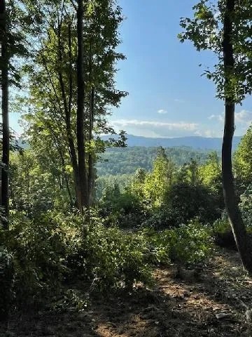 175 Acres - with New Farm Barn featured image