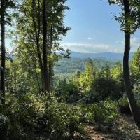175 Acres - with New Farm Barn