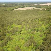 1.73 acre Building Lot For Sale in Accomack County VA images 2