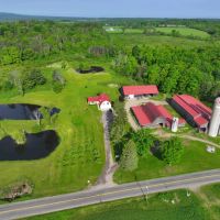 60 acres House Two Barns Heated Shop Ponds Orchard and FREE GAS in Dewittville NY 7057 Beech Hill Rd images 5