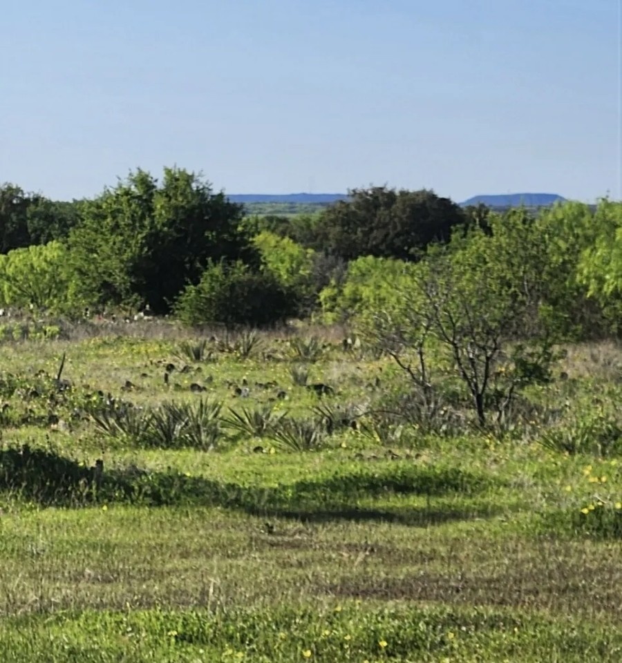 Three bdr house 52 gorgeous acres More than 5400 sq feet other buidlings featured image