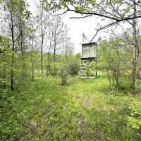50 - ACRES KENDALLVILLE IN NOBLE COUNTY DEVELOPMENT POTENTIAL HUNTING LAND FOR SALE images 3