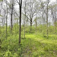 50 - ACRES KENDALLVILLE IN NOBLE COUNTY DEVELOPMENT POTENTIAL HUNTING LAND FOR SALE images 4