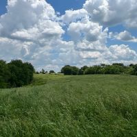 Country Dreaming images 2