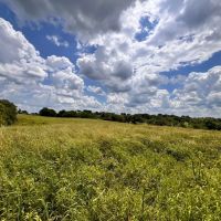 Country Dreaming images 3