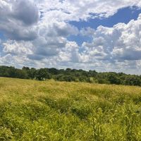 Country Dreaming images 4