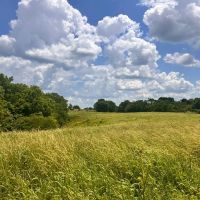 Country Dreaming images 5