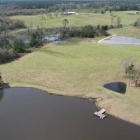 315 Acres in Jasper County in Pachuta MS