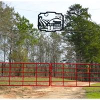 315 Acres in Jasper County in Pachuta MS images 5