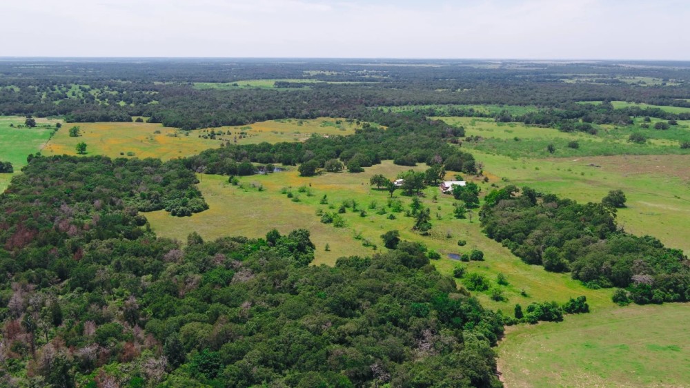 126 Acres in Lee County featured image