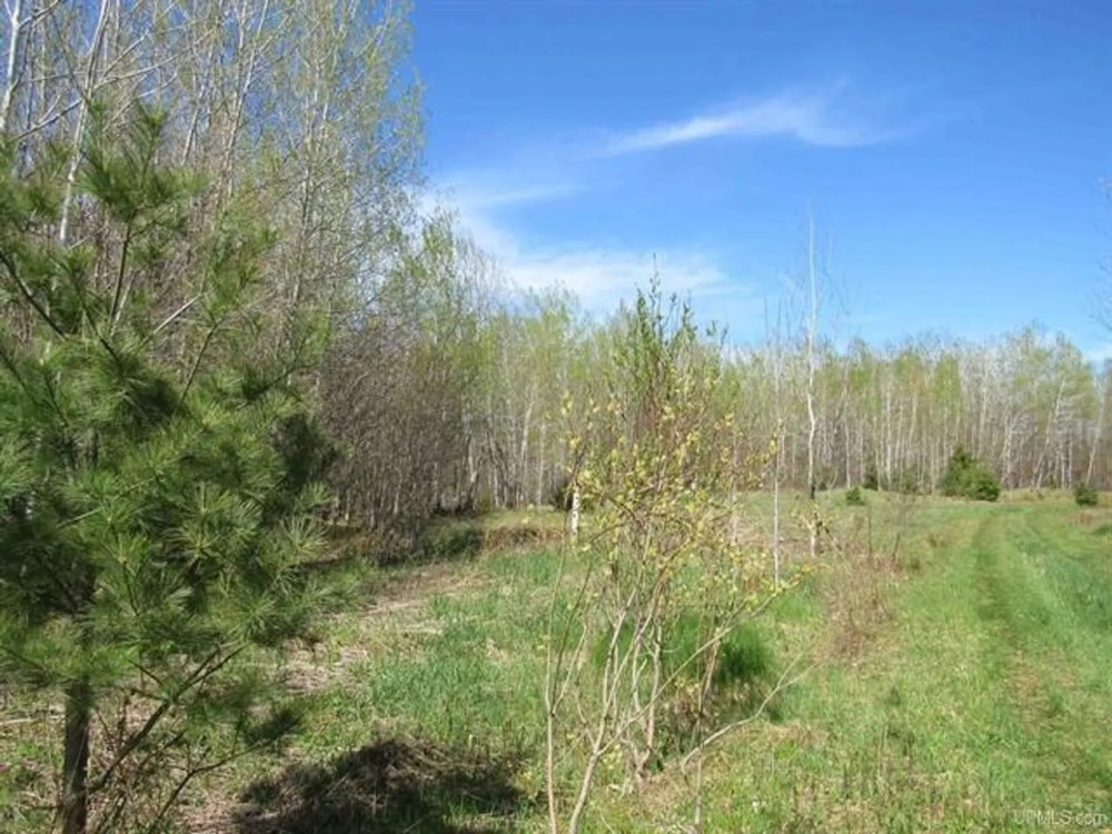 Michigan 400 Acre Tract 50142898 featured image