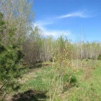 Michigan 400 Acre Tract 50142898
