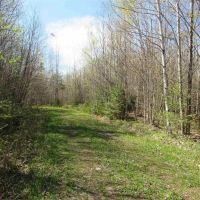 Michigan 400 Acre Tract 50142898 images 5