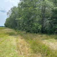 LA - Franklin 16.5 acres - images 2