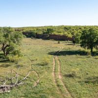 408 acre Hunting and Cattle Ranch images 3