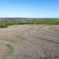 408 acre Hunting and Cattle Ranch images 4