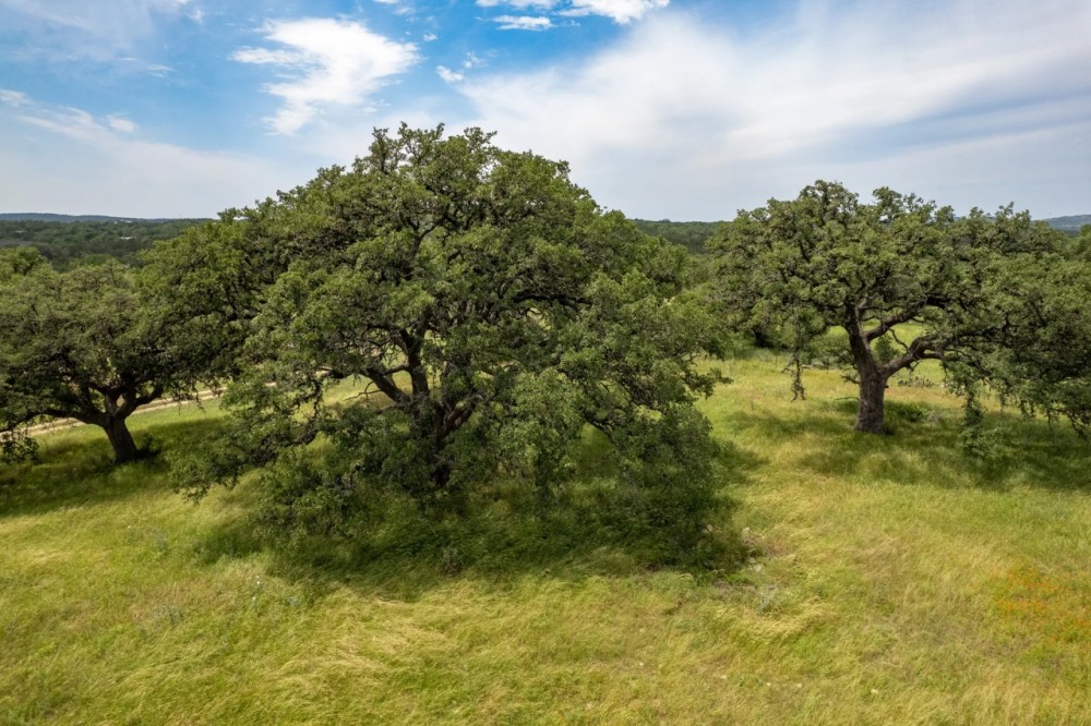 Prochnow Branch Ranch featured image