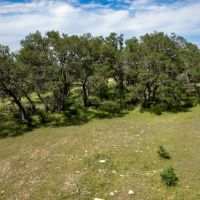Prochnow Branch Ranch images 2