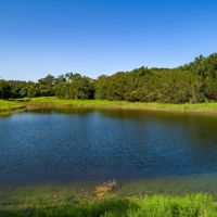 Prochnow Branch Ranch images 5