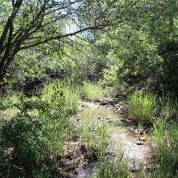 New Listing 111.28 - Acres Eastland County images 5