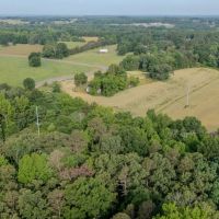 65.53 acres of Farm and Timber Land For Sale in Stanly County NC images 3