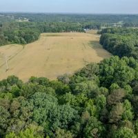 65.53 acres of Farm and Timber Land For Sale in Stanly County NC images 4